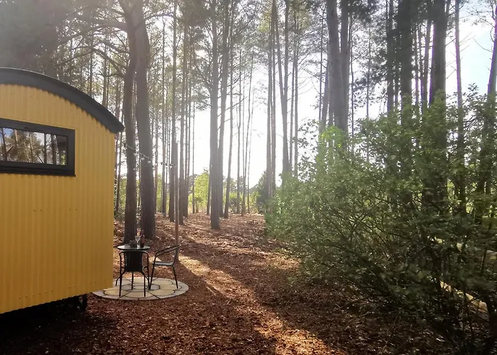 Forest Heath Shepherd\'S Huts