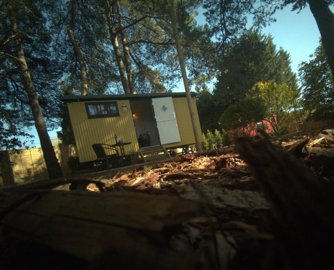 Casa de Férias Forest Heath Shepherd's Huts *