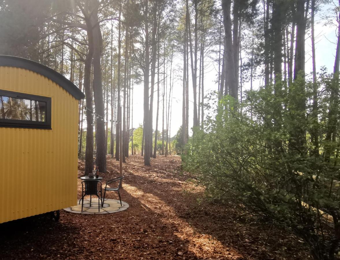 Forest Heath Shepherd's Huts Casa de Férias Ringwood