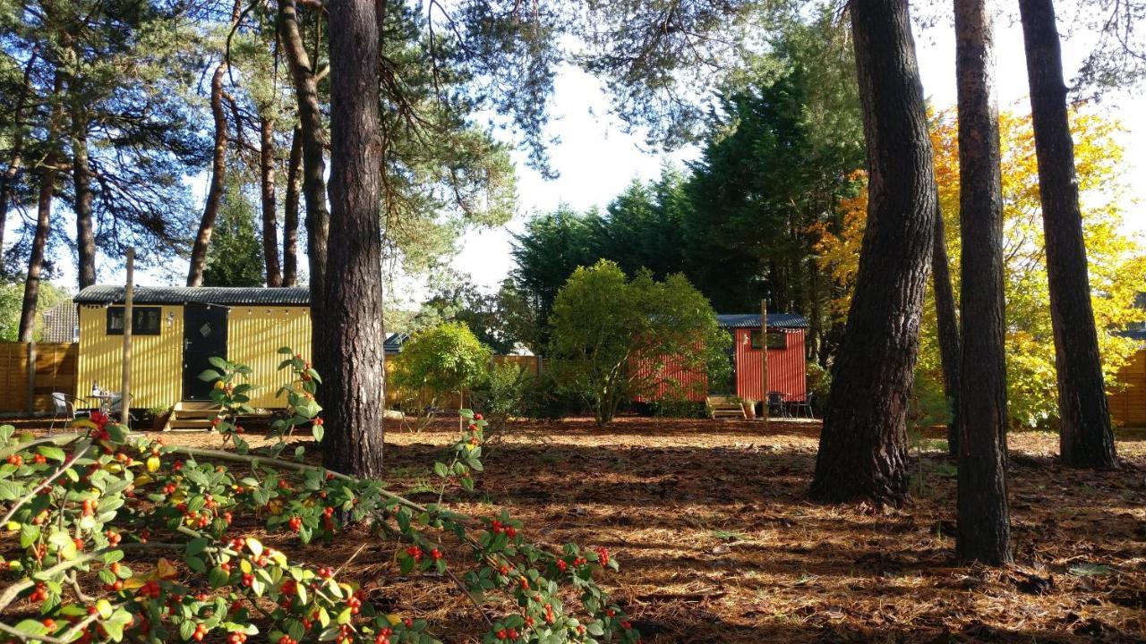 Forest Heath Shepherd's Huts Ringwood