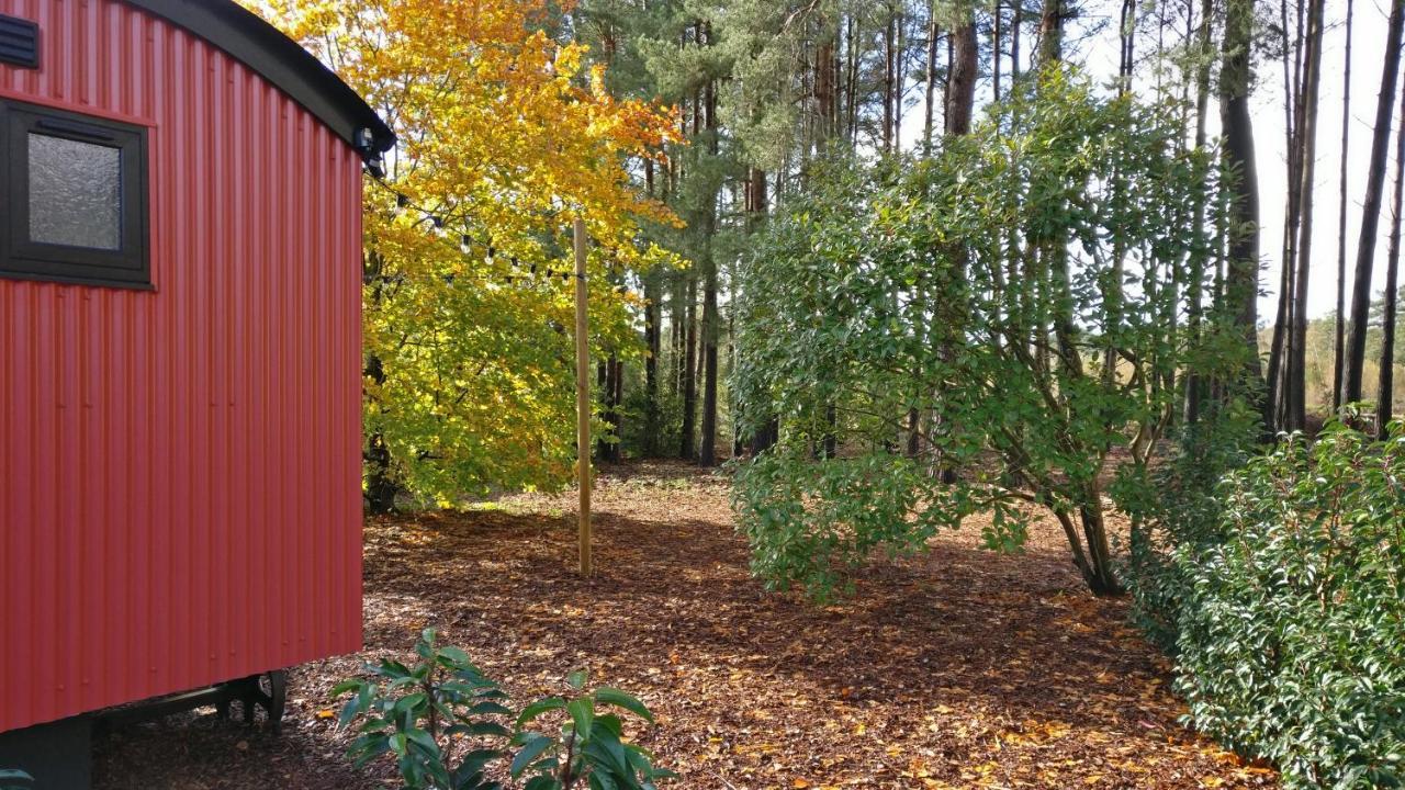 Casa de Férias Forest Heath Shepherd's Huts *