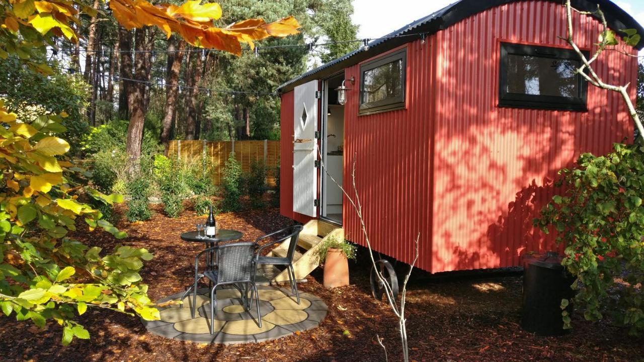 Forest Heath Shepherd's Huts Casa de Férias