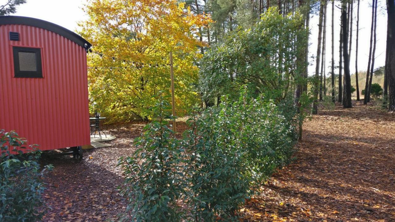 Casa de Férias Forest Heath Shepherd's Huts