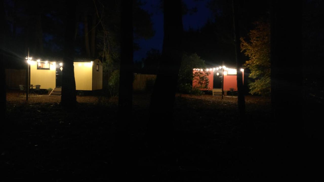 Forest Heath Shepherd's Huts Casa de Férias *